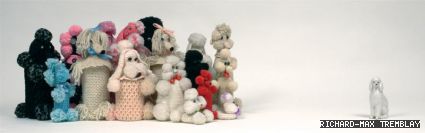Gisele Amantea’s poodle stand-off is just one of the images in <em>USED/Goods</em>, launched in early Sept.